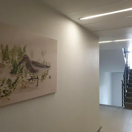 Apartament Wolne Miasto 아파트 *